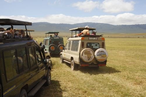 How Dangerous is a Safari  Safety Tips for Travelers